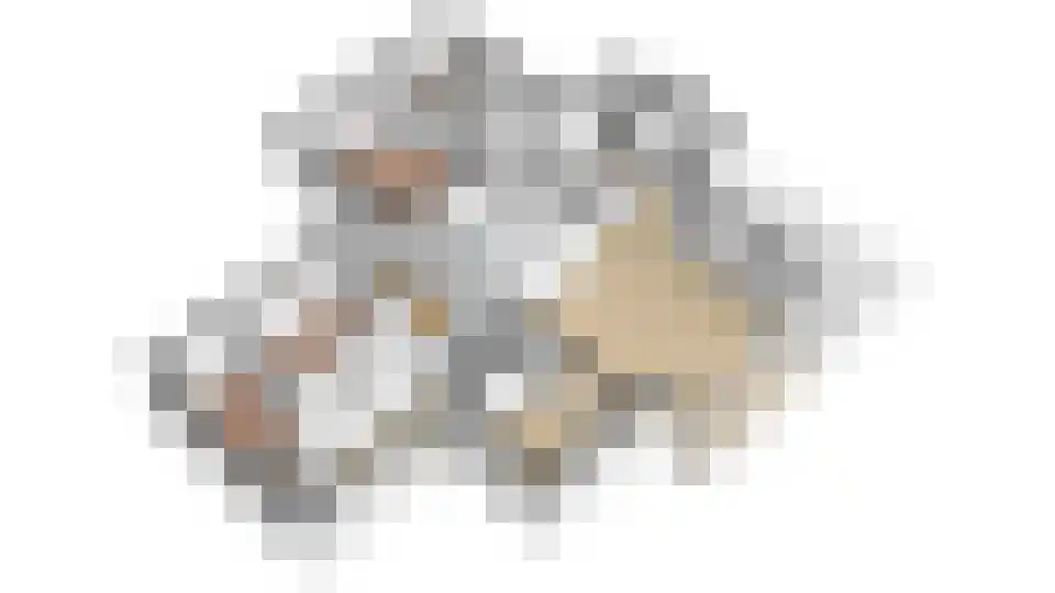 Neerijnense Mark 5 Neerijnen thumbnail 42