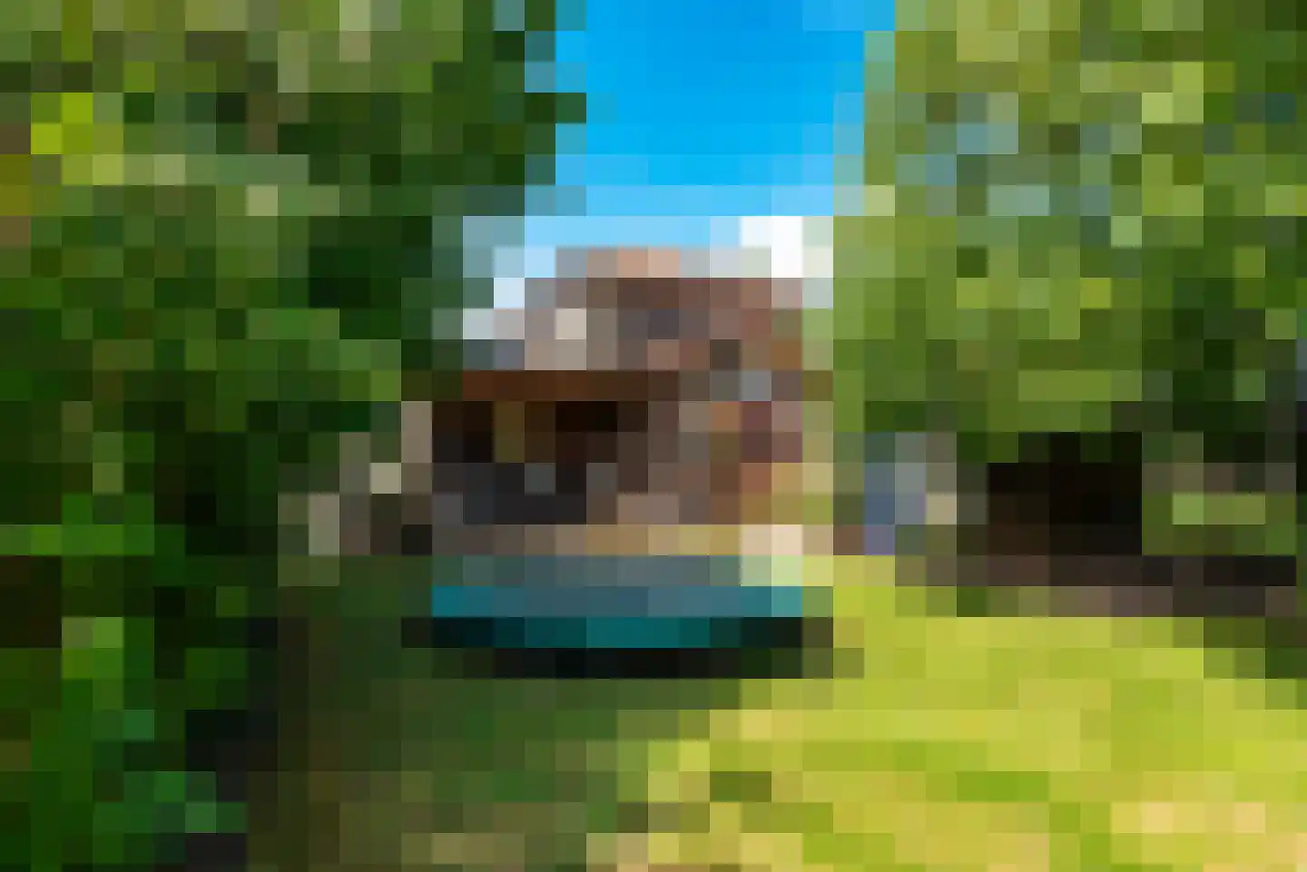 Neerijnense Mark 5 Neerijnen thumbnail 7