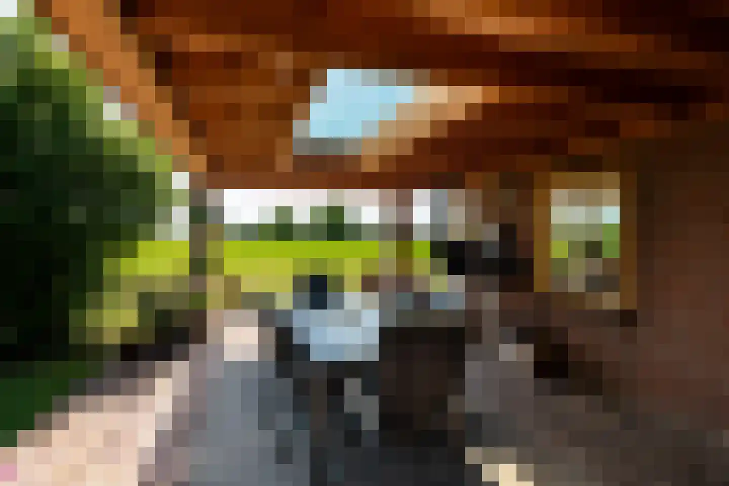 Neerijnense Mark 5 Neerijnen thumbnail 9