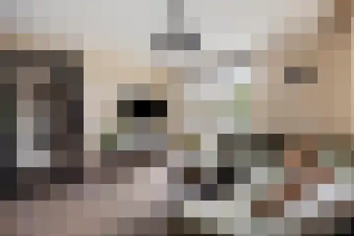 Neerijnenstraat 9 Tilburg thumbnail 10