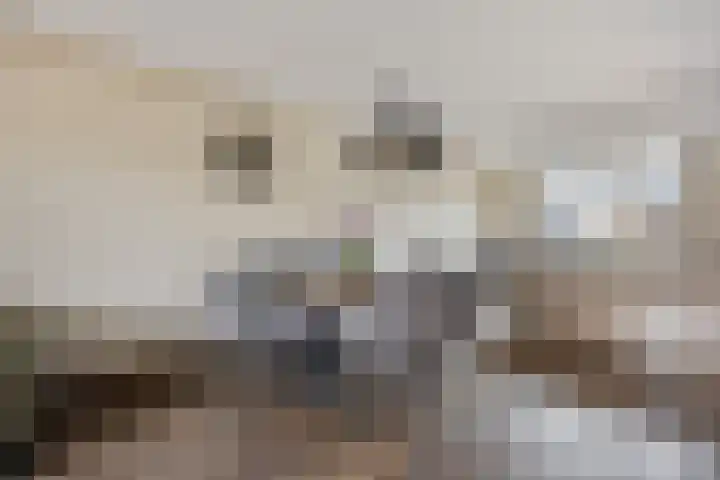 Neerijnenstraat 9 Tilburg thumbnail 12