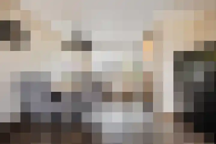 Neerijnenstraat 9 Tilburg thumbnail 13
