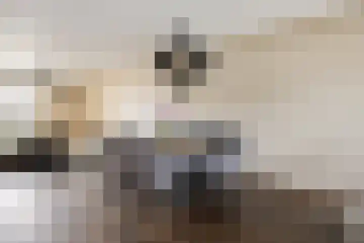 Neerijnenstraat 9 Tilburg thumbnail 14