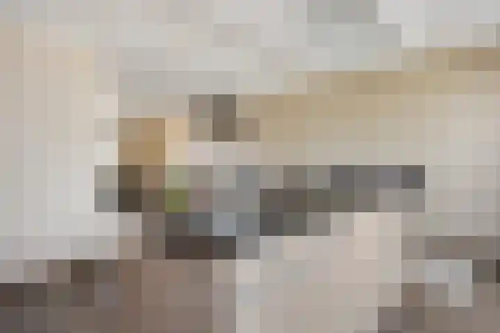 Neerijnenstraat 9 Tilburg thumbnail 18