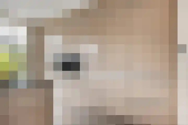 Neerijnenstraat 9 Tilburg thumbnail 19