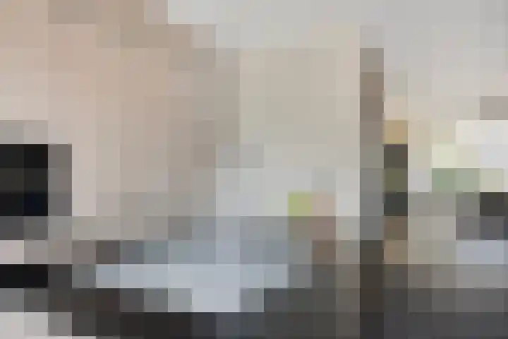 Neerijnenstraat 9 Tilburg thumbnail 21