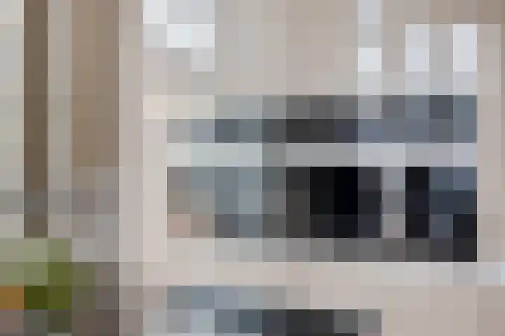 Neerijnenstraat 9 Tilburg thumbnail 24