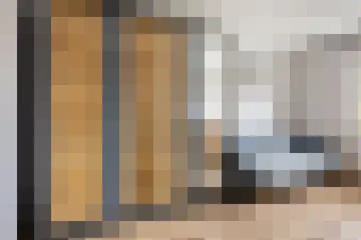 Neerijnenstraat 9 Tilburg thumbnail 34