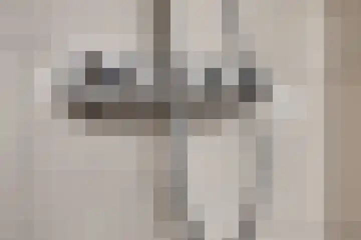 Neerijnenstraat 9 Tilburg thumbnail 39