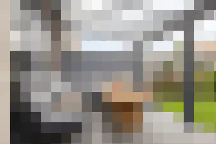 Neerijnenstraat 9 Tilburg thumbnail 40