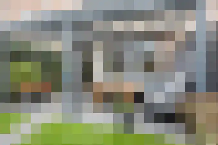 Neerijnenstraat 9 Tilburg thumbnail 42