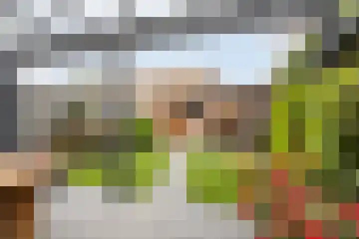 Neerijnenstraat 9 Tilburg thumbnail 43