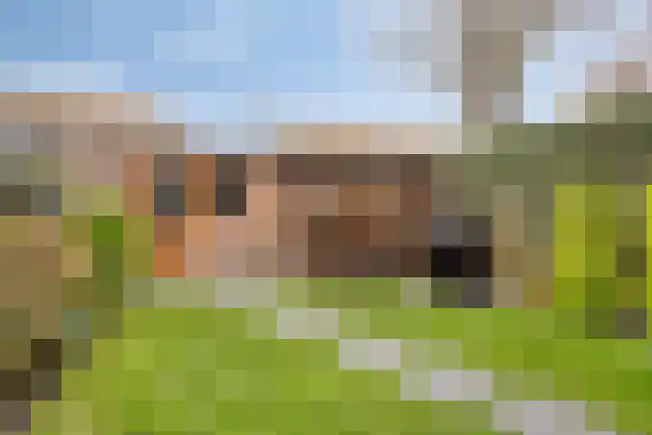 Neerijnenstraat 9 Tilburg thumbnail 44