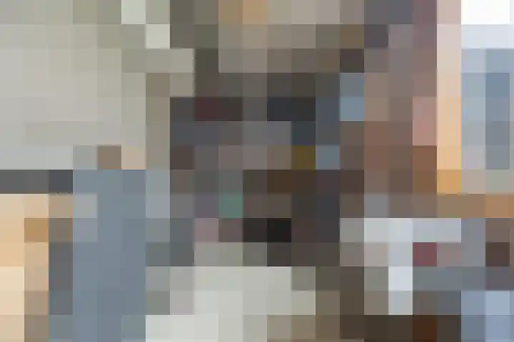 Neerijnenstraat 9 Tilburg thumbnail 45