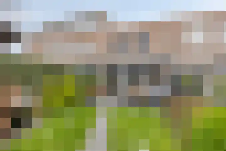 Neerijnenstraat 9 Tilburg thumbnail 47