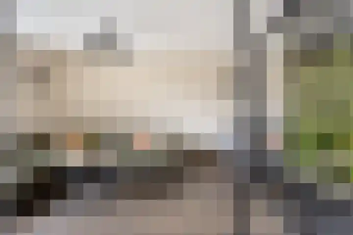 Neerijnenstraat 9 Tilburg thumbnail 7