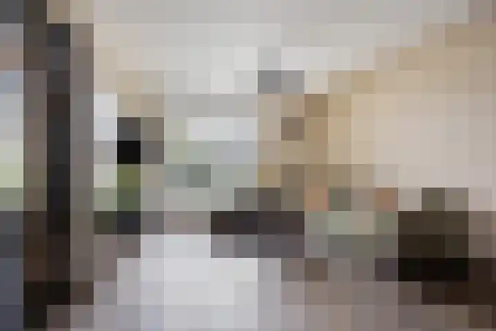 Neerijnenstraat 9 Tilburg thumbnail 8