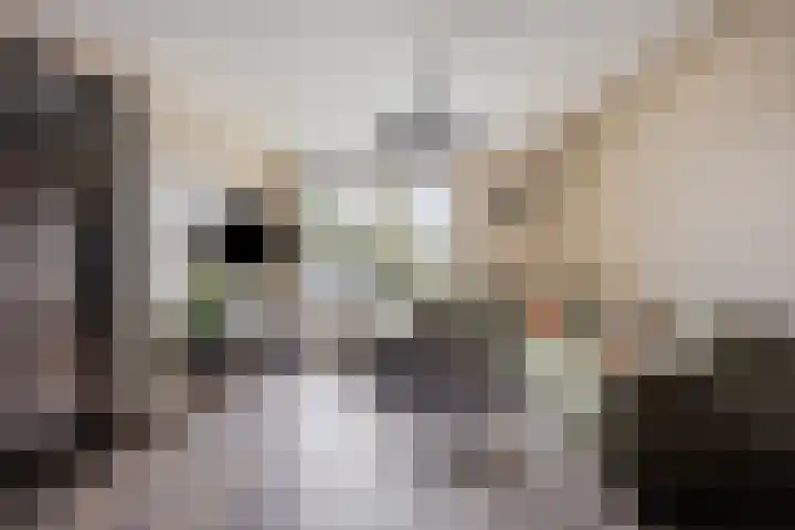 Neerijnenstraat 9 Tilburg thumbnail 9