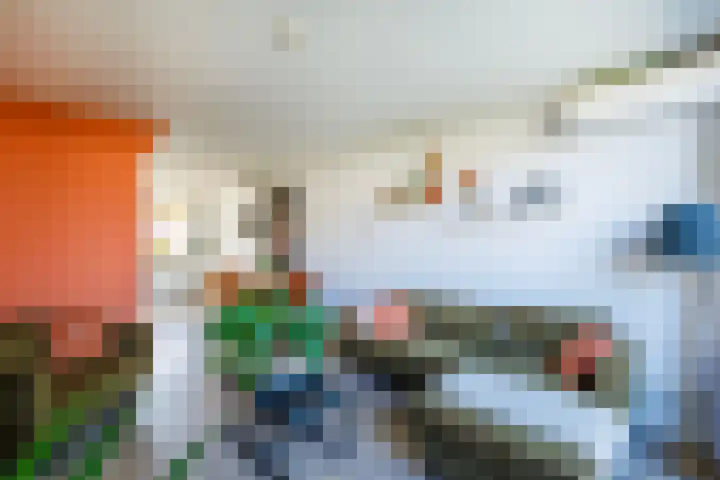 Neering Bögelstraat 14 Terborg thumbnail 5