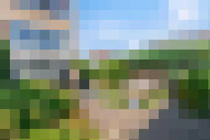 Neeringerweg 19 Steyl thumbnail 23