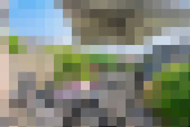 Neeringerweg 19 Steyl thumbnail 24