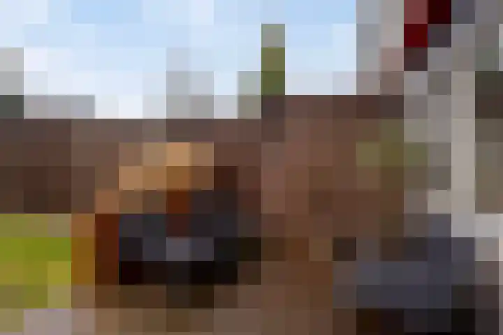 Neeringerweg 26 Steyl thumbnail 25