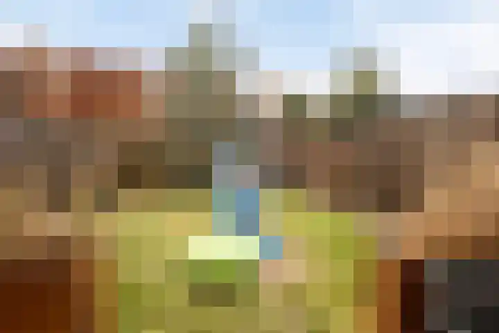 Neeringerweg 26 Steyl thumbnail 26