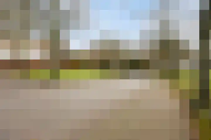 Neeringerweg 26 Steyl thumbnail 30