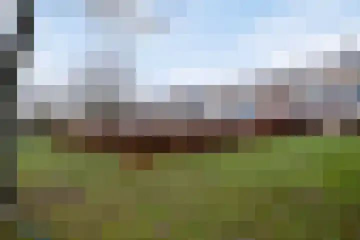 Neeringerweg 26 Steyl thumbnail 31