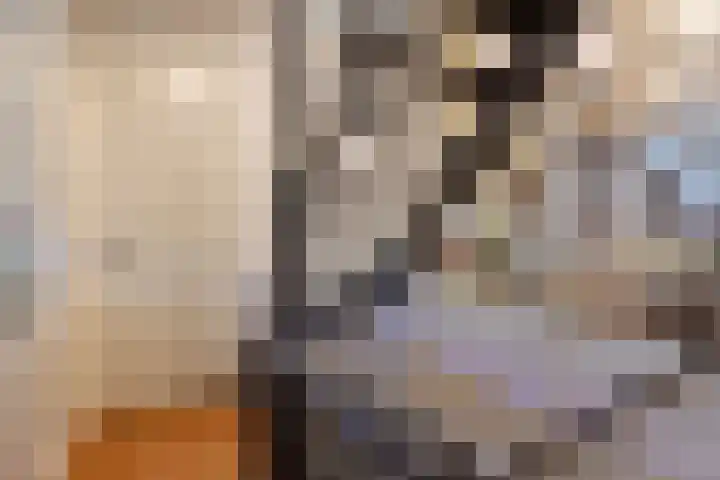 Neeringerweg 26 Steyl thumbnail 8
