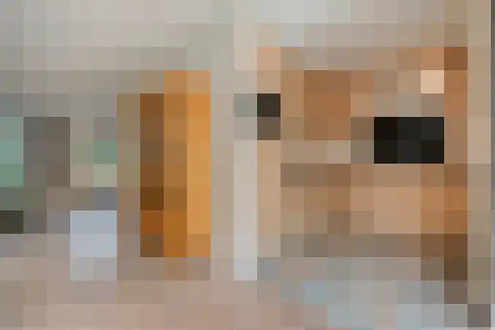 Neerkanne 3 Almelo thumbnail 11