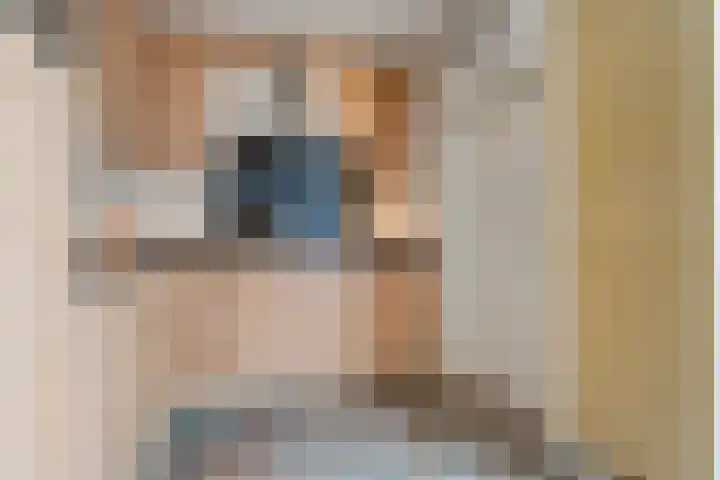 Neerkanne 3 Almelo thumbnail 12
