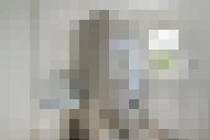 Neerkanne 3 Almelo thumbnail 13