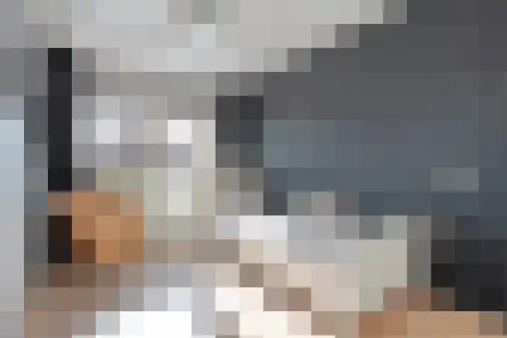 Neerkanne 3 Almelo thumbnail 17