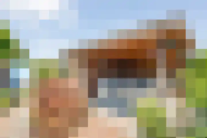 Neerkanne 3 Almelo thumbnail 23