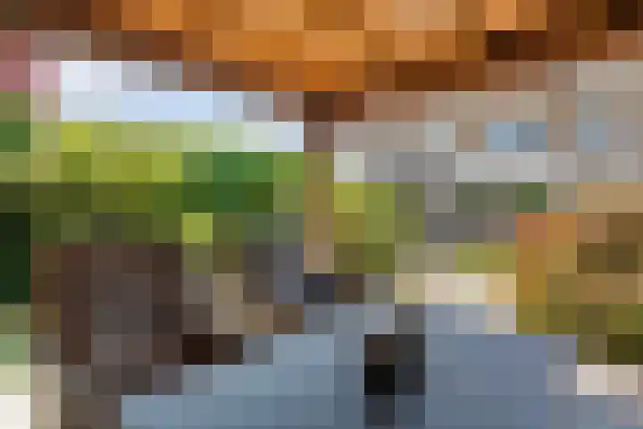 Neerkanne 3 Almelo thumbnail 24