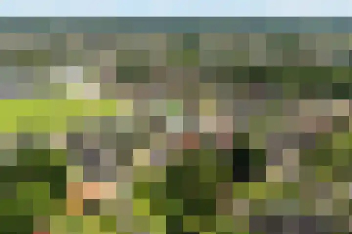 Neerkanne 3 Almelo thumbnail 26