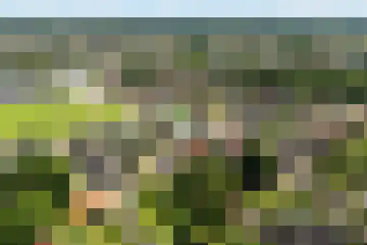 Neerkanne 3 Almelo thumbnail 4