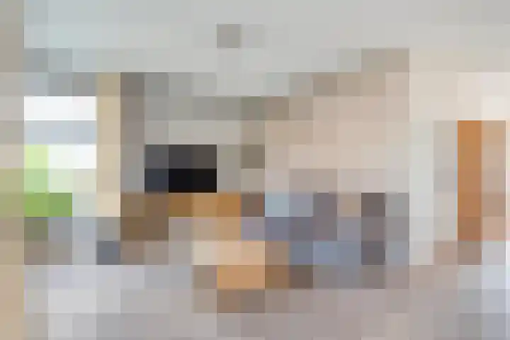 Neerkanne 3 Almelo thumbnail 8