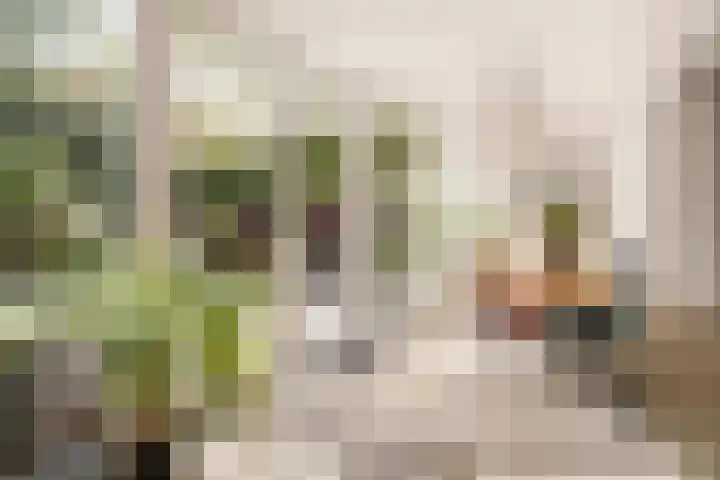 Neerkanne 30 Amsterdam thumbnail 10