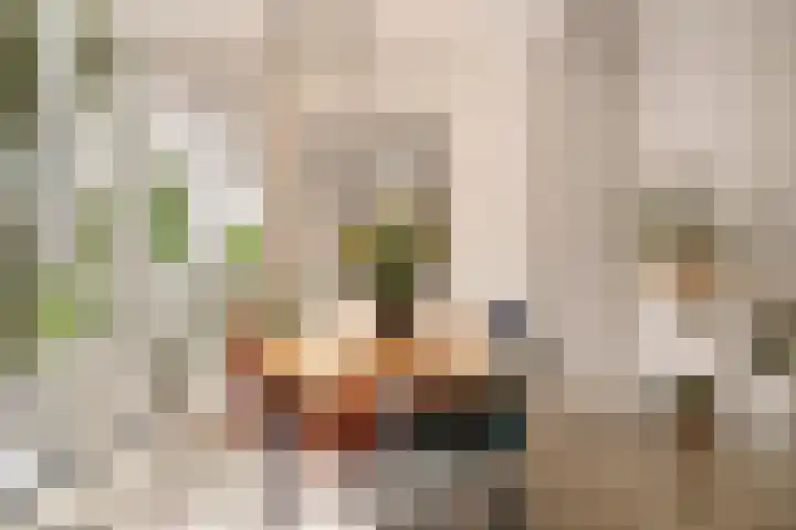 Neerkanne 30 Amsterdam thumbnail 12