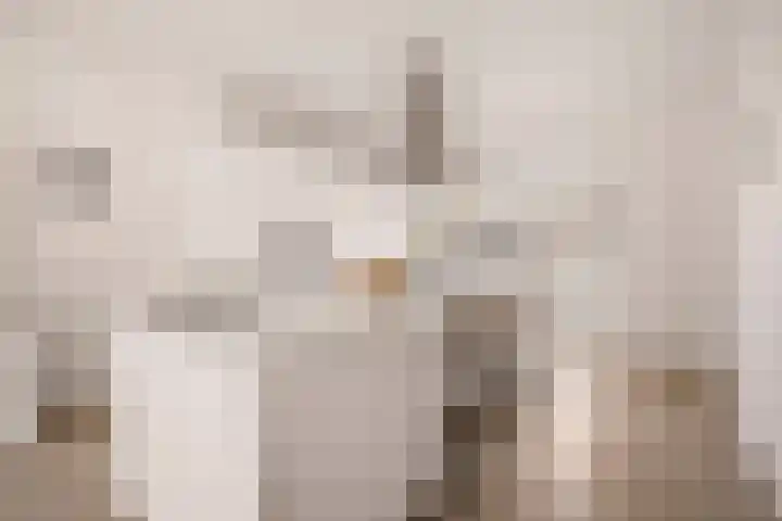 Neerkanne 30 Amsterdam thumbnail 15