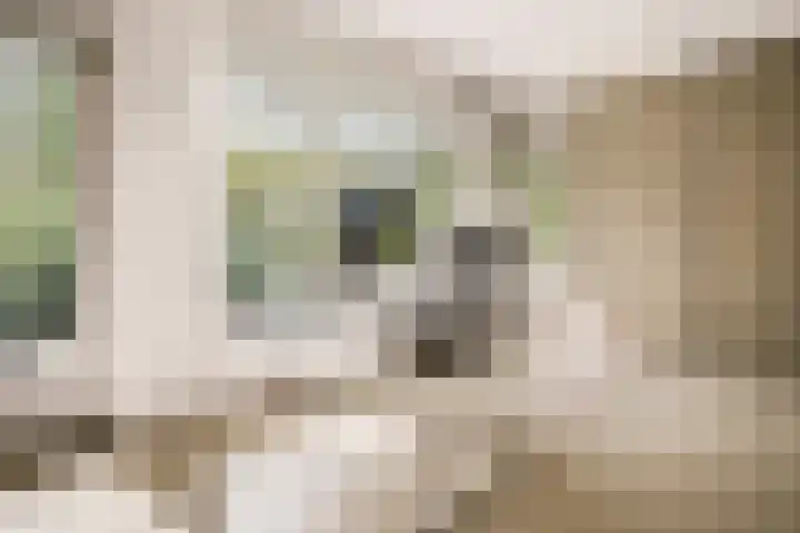 Neerkanne 30 Amsterdam thumbnail 23