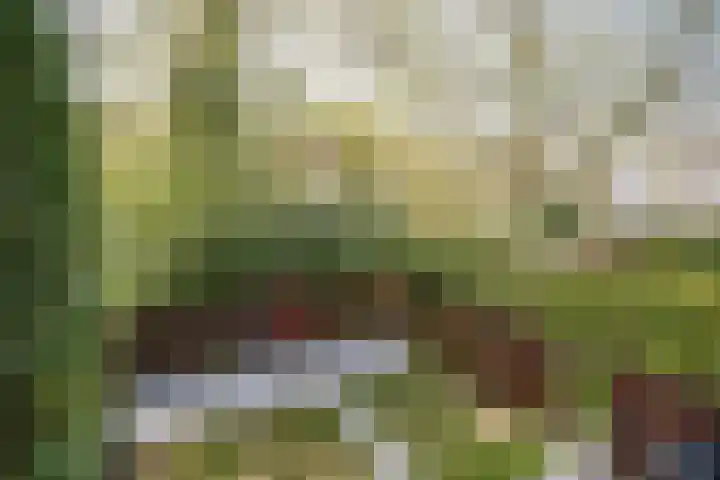 Neerkanne 30 Amsterdam thumbnail 26