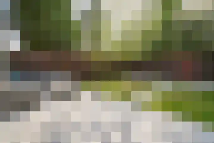 Neerkanne 30 Amsterdam thumbnail 35
