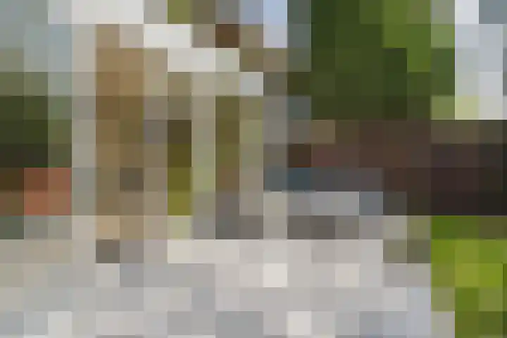 Neerkanne 30 Amsterdam thumbnail 36