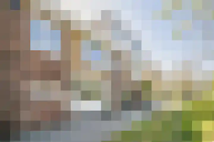 Neerkanne 30 Amsterdam thumbnail 4