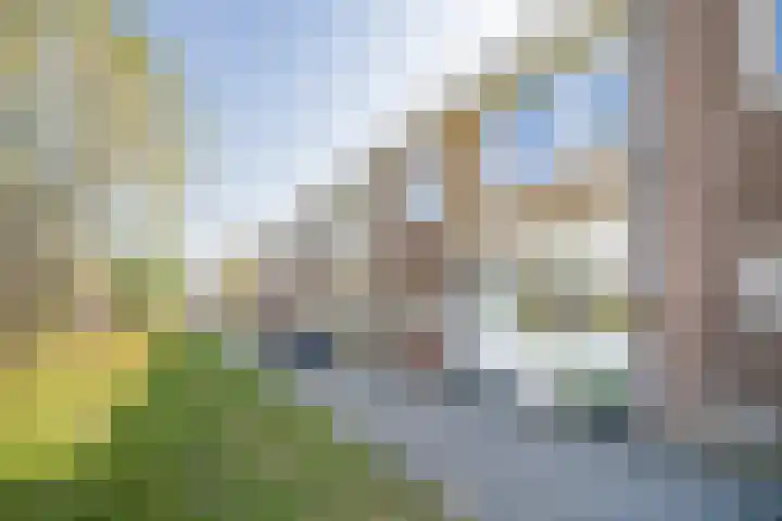 Neerkanne 30 Amsterdam thumbnail 40
