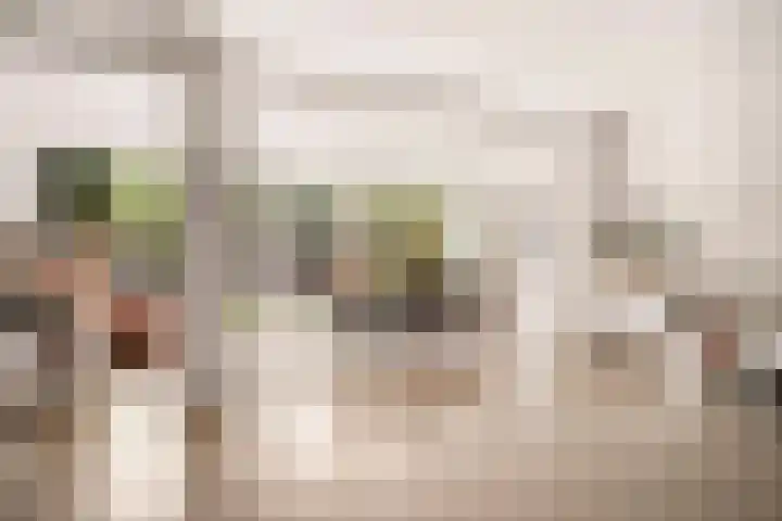Neerkanne 30 Amsterdam thumbnail 5