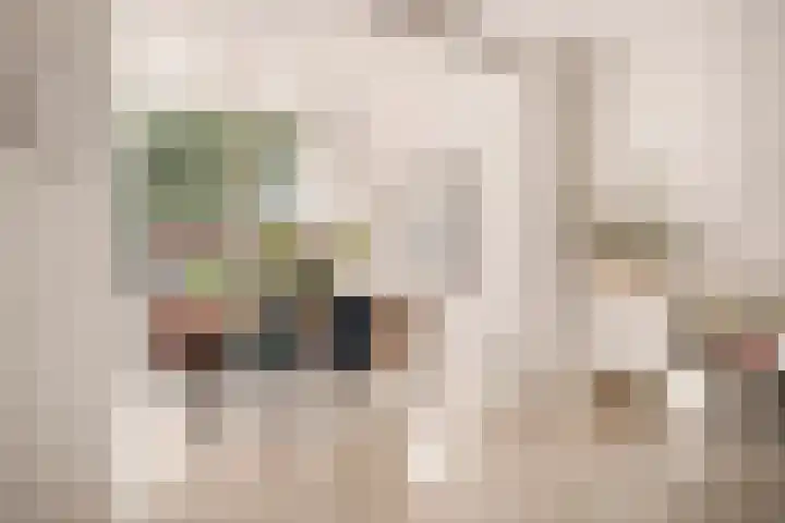 Neerkanne 30 Amsterdam thumbnail 6